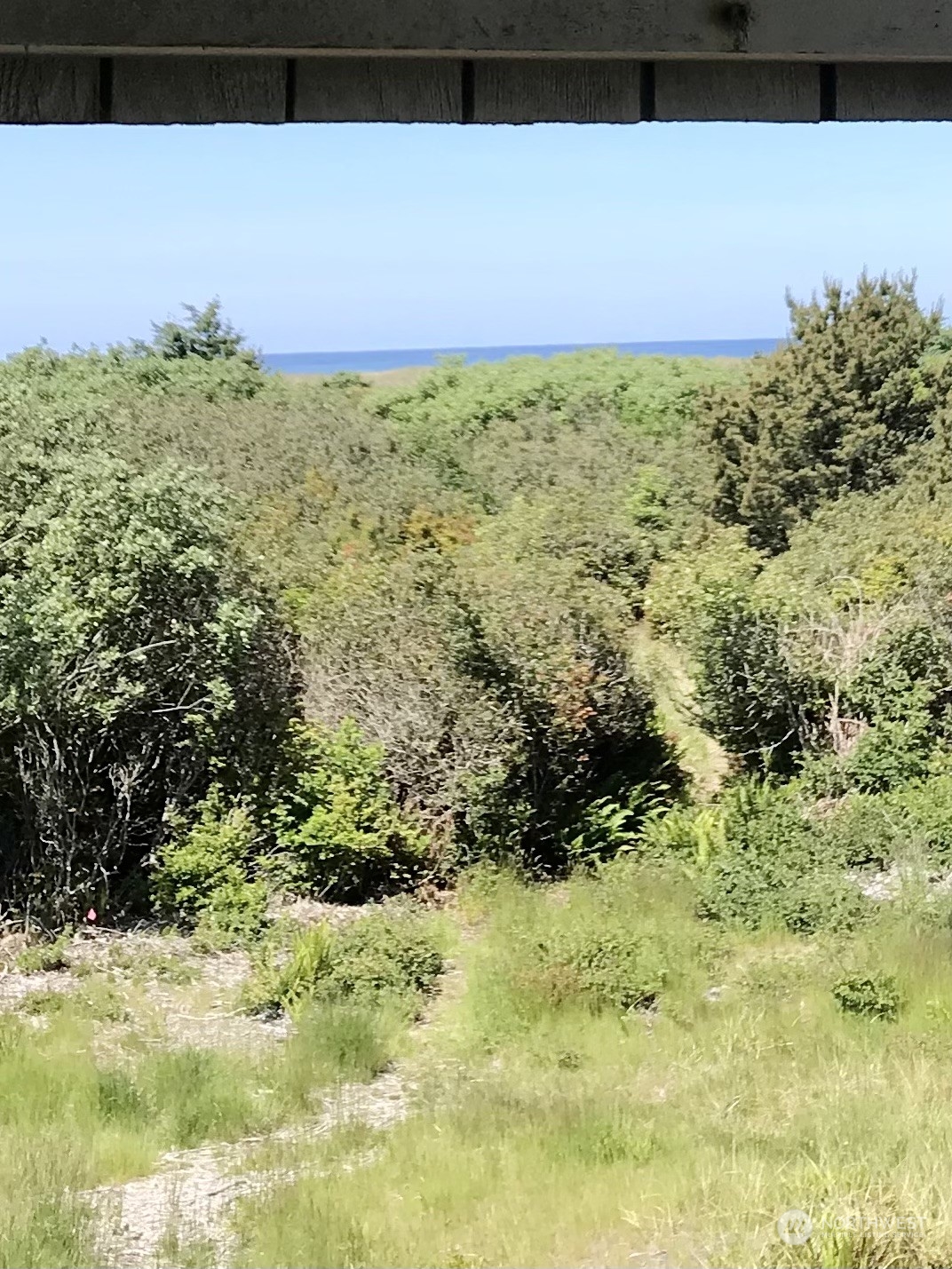 835 Ocean Shores Boulevard NW #208, Ocean Shores, WA 98569 - Photo 5