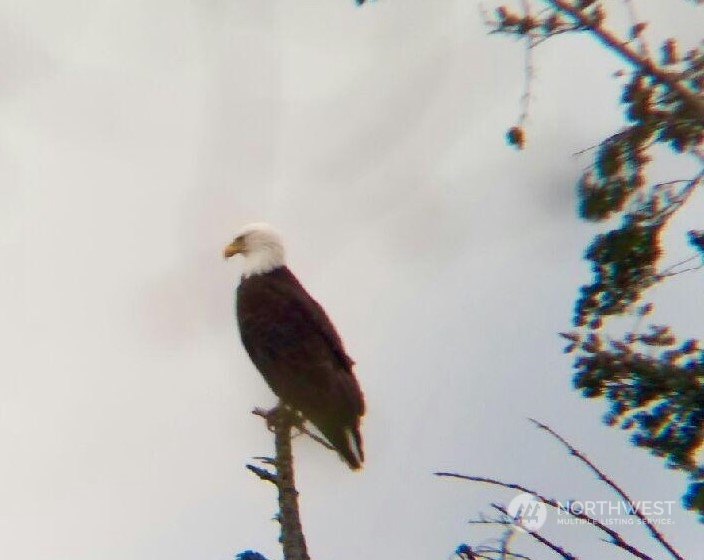 7710 47th Street NW, Tulalip, WA 98271 - Photo 3