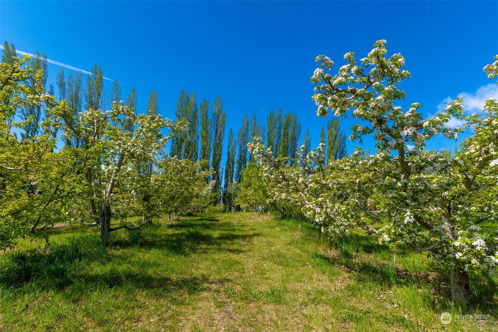 3710 Stayman Flats Road , Chelan, WA 98816 - Photo 33