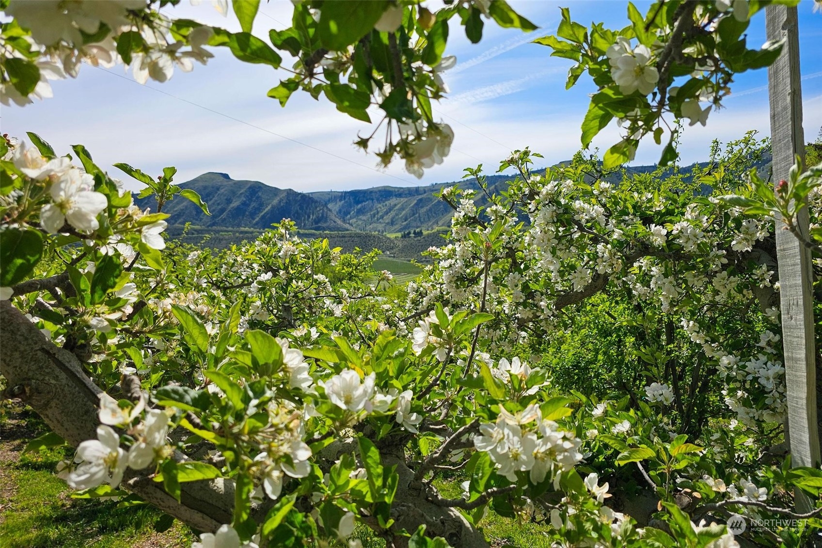 3710 Stayman Flats Road , Chelan, WA 98816 - Photo 18