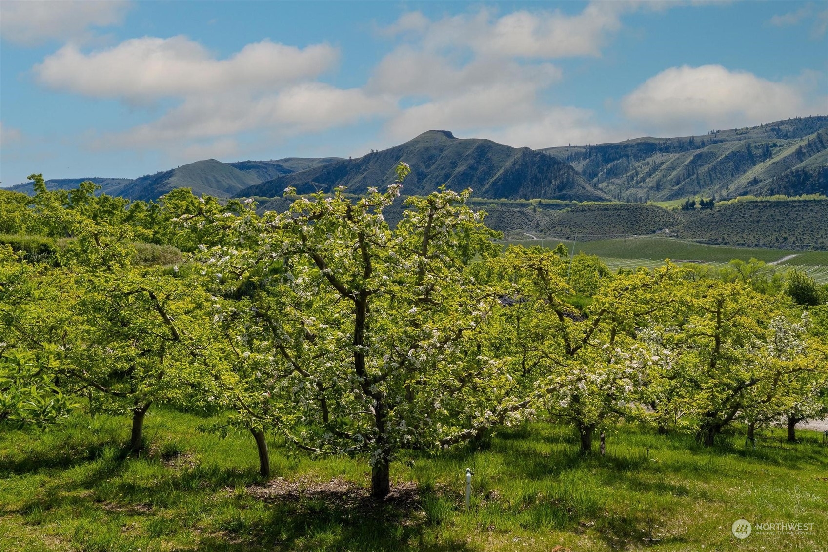 3710 Stayman Flats Road , Chelan, WA 98816 - Photo 38