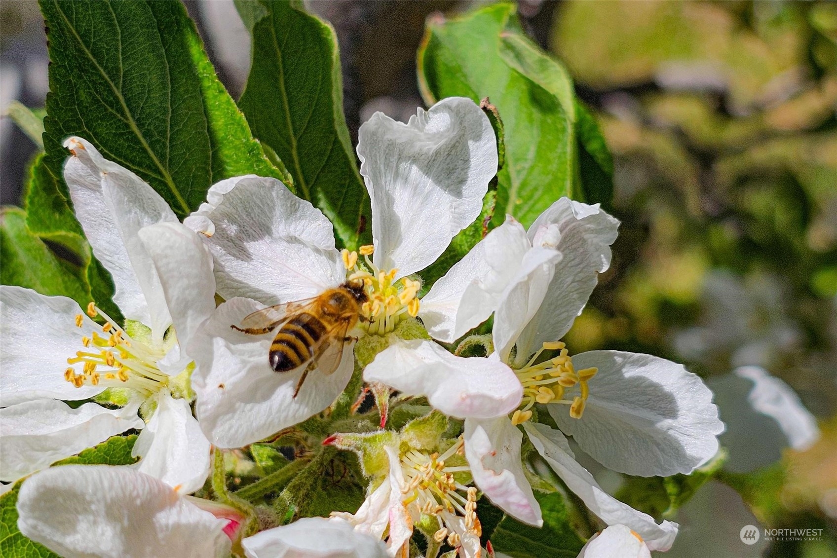 3710 Stayman Flats Road , Chelan, WA 98816 - Photo 26