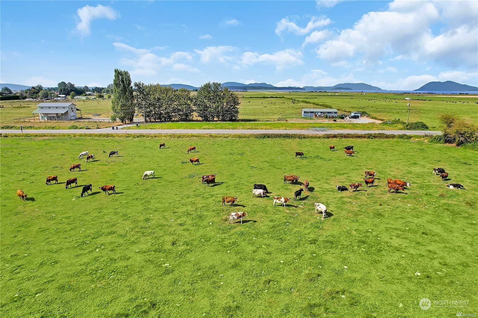 15115 Bow Hill Road , Bow, WA 98232 - Photo 21