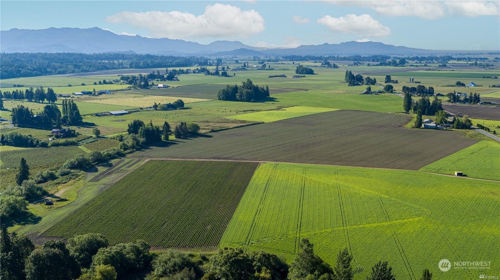 15115 Bow Hill Road , Bow, WA 98232 - Photo 5