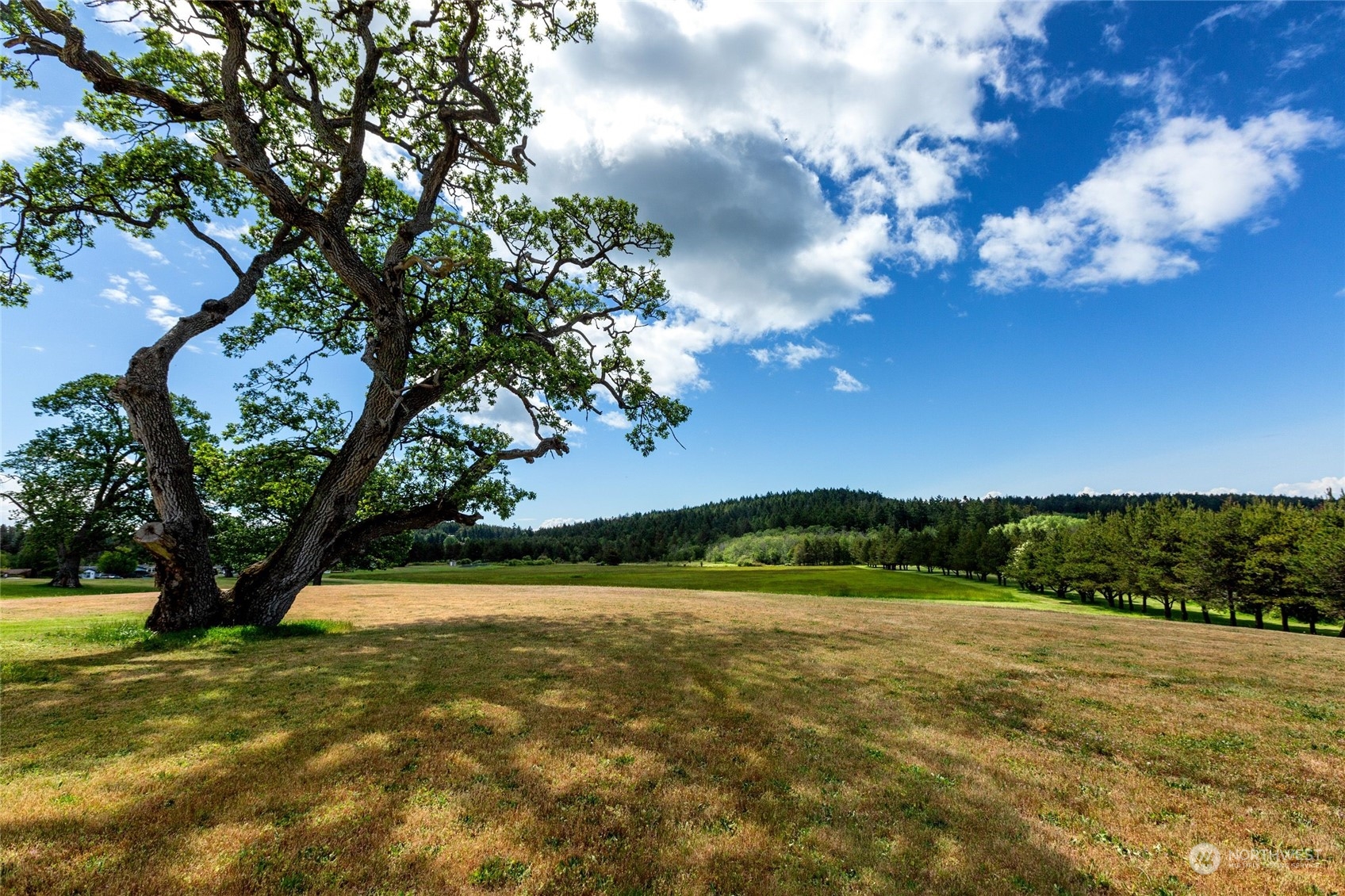 1785 Douglas Road #35, Friday Harbor, WA 98250 - Photo 34