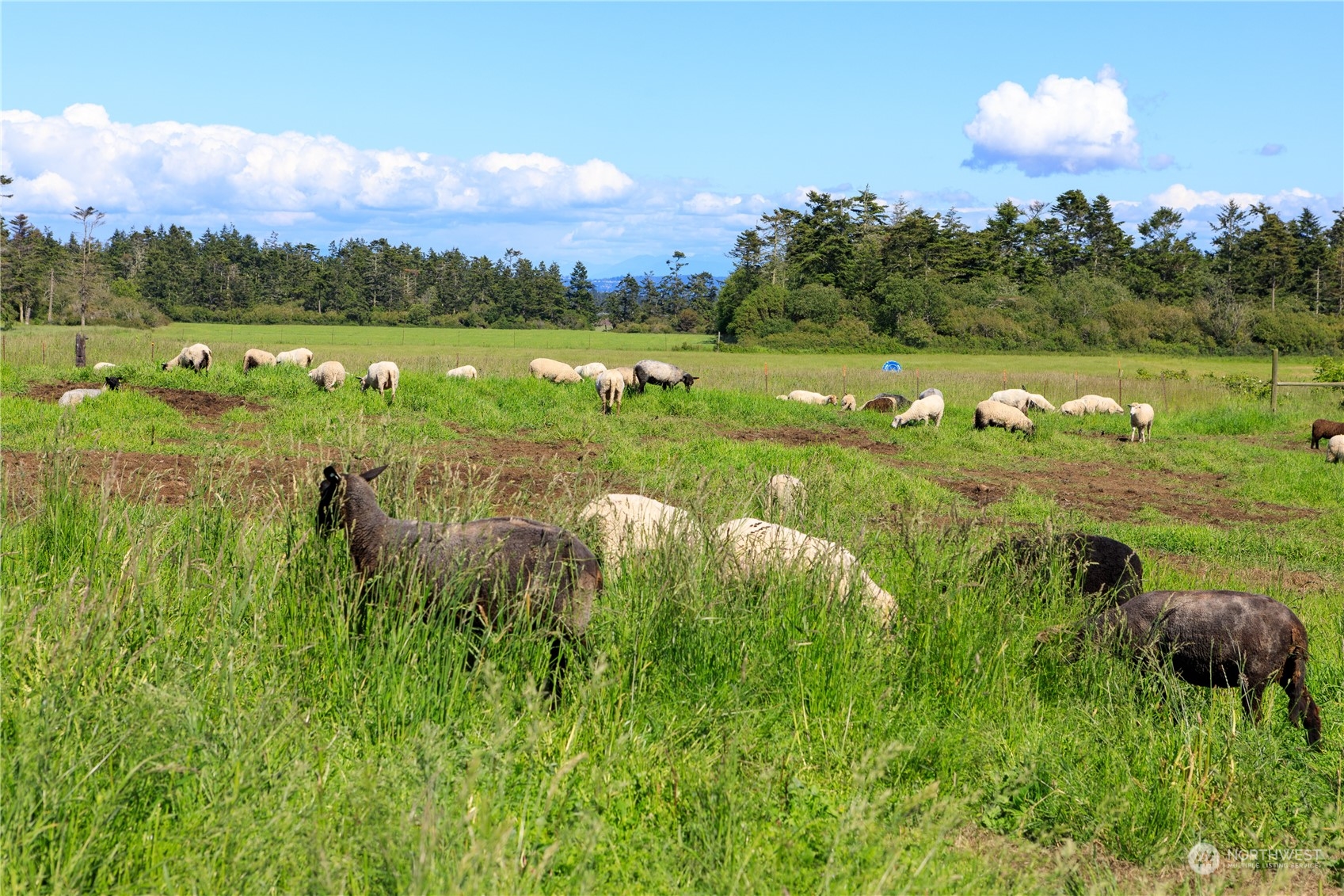 886 West Beach Road , Coupeville, WA 98239 - Photo 15