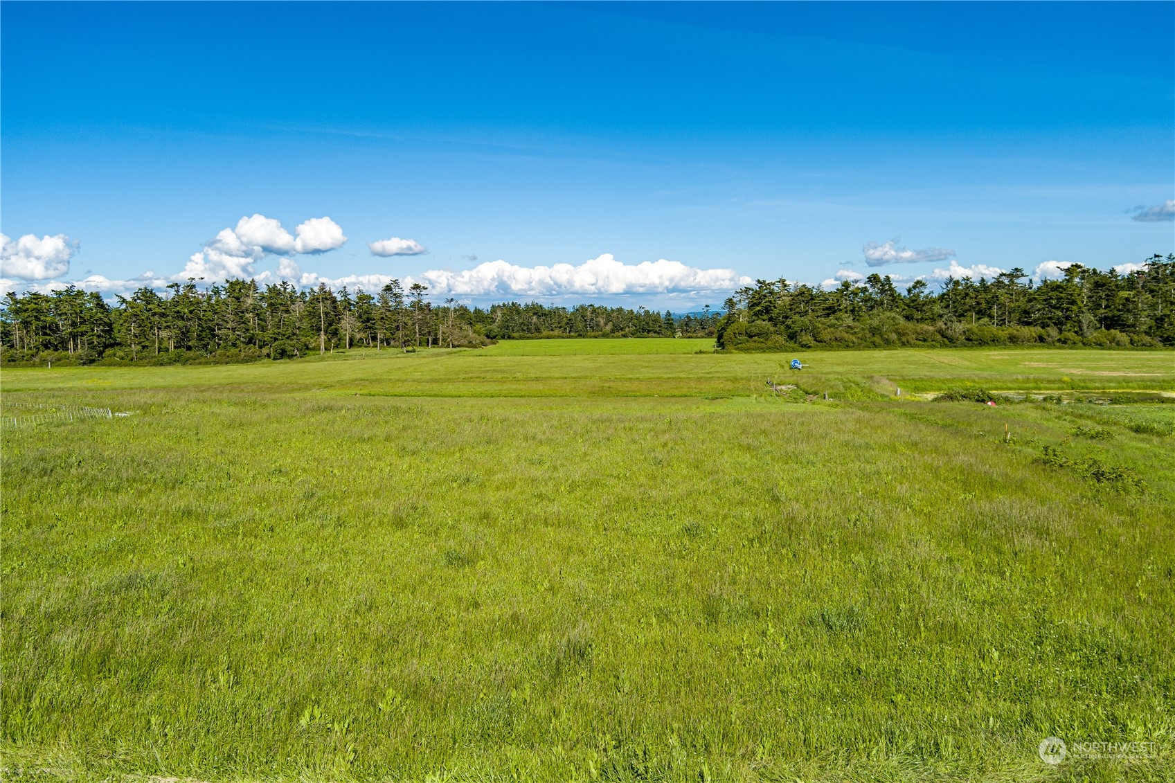 886 West Beach Road , Coupeville, WA 98239 - Photo 39