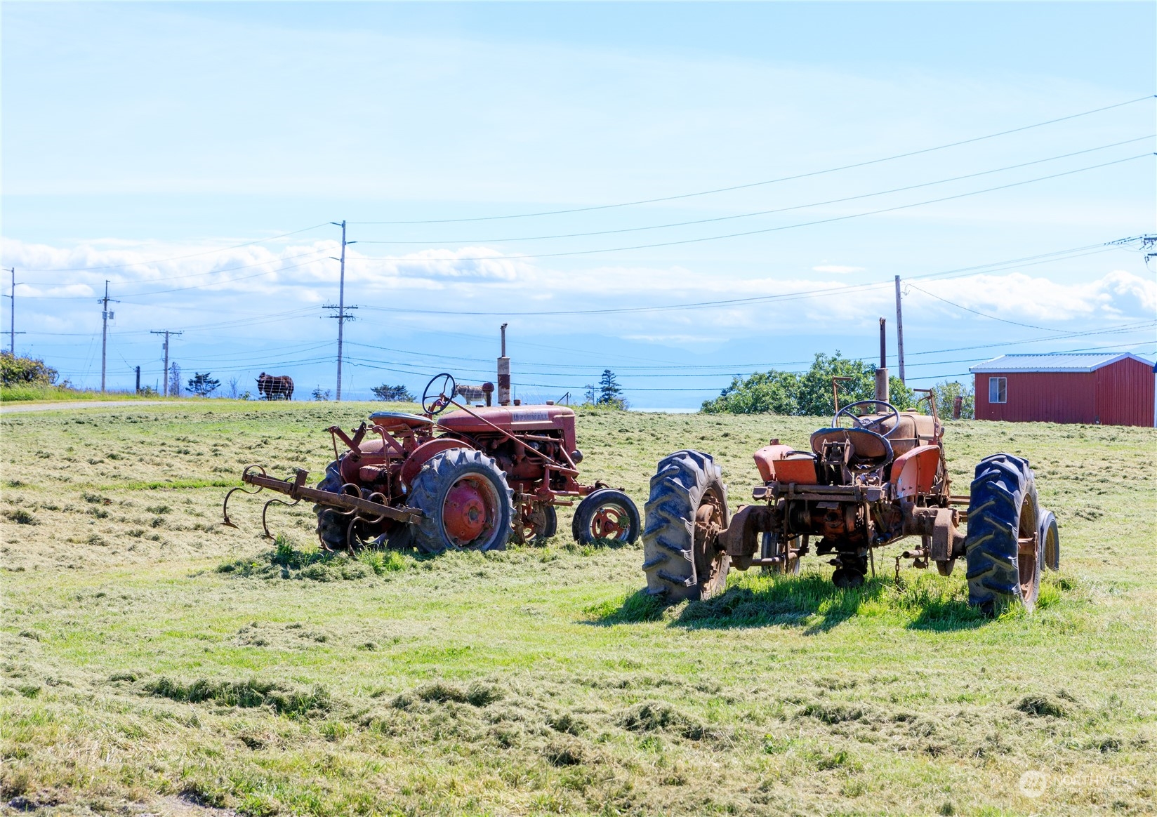 886 West Beach Road , Coupeville, WA 98239 - Photo 7