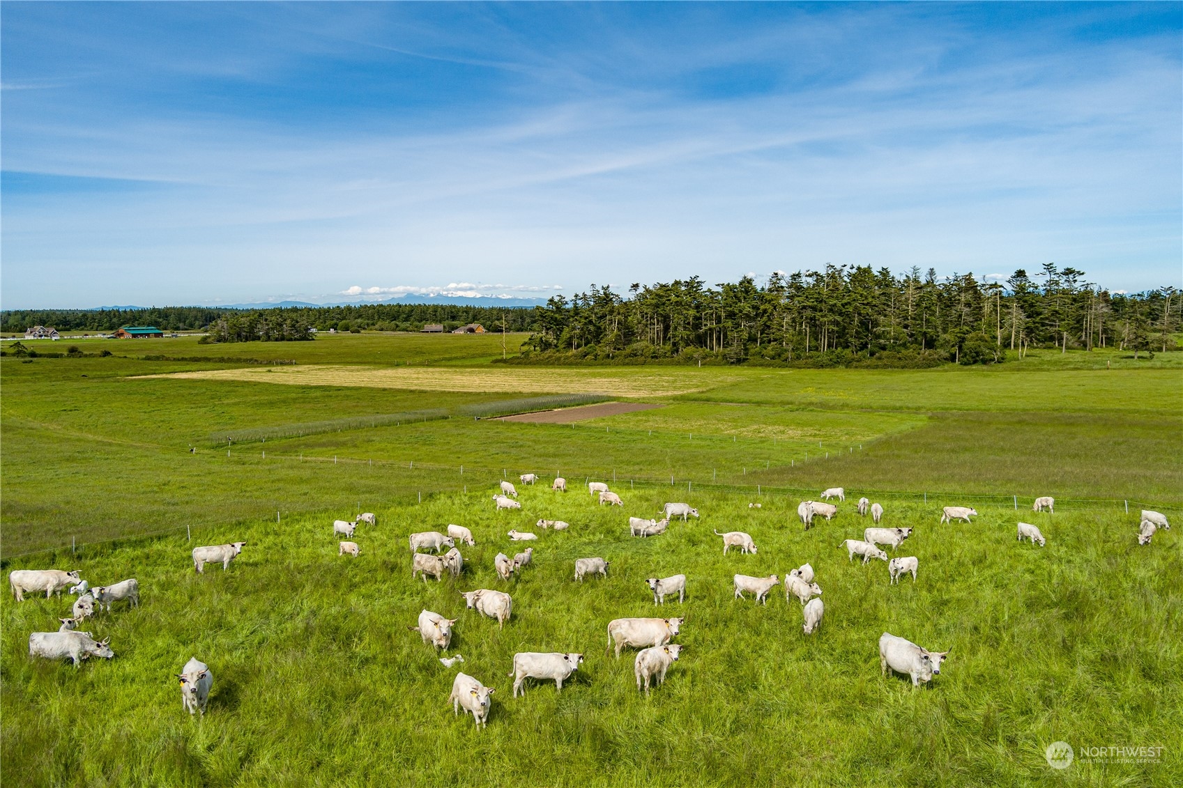886 West Beach Road , Coupeville, WA 98239 - Photo 29