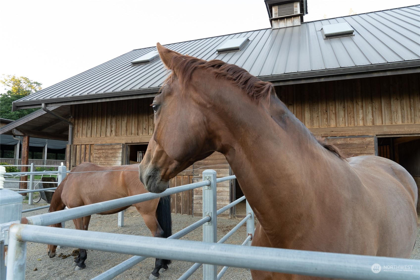 83024 FR Undisclosed , Bainbridge Island, WA 98110 - Photo 18