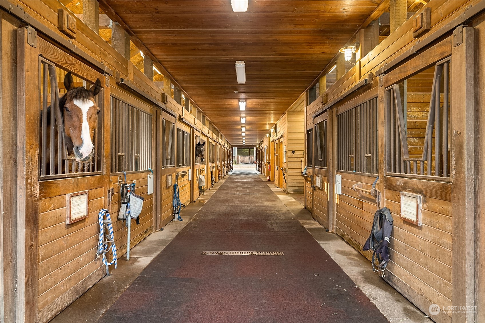 83024 FR Undisclosed , Bainbridge Island, WA 98110 - Photo 8