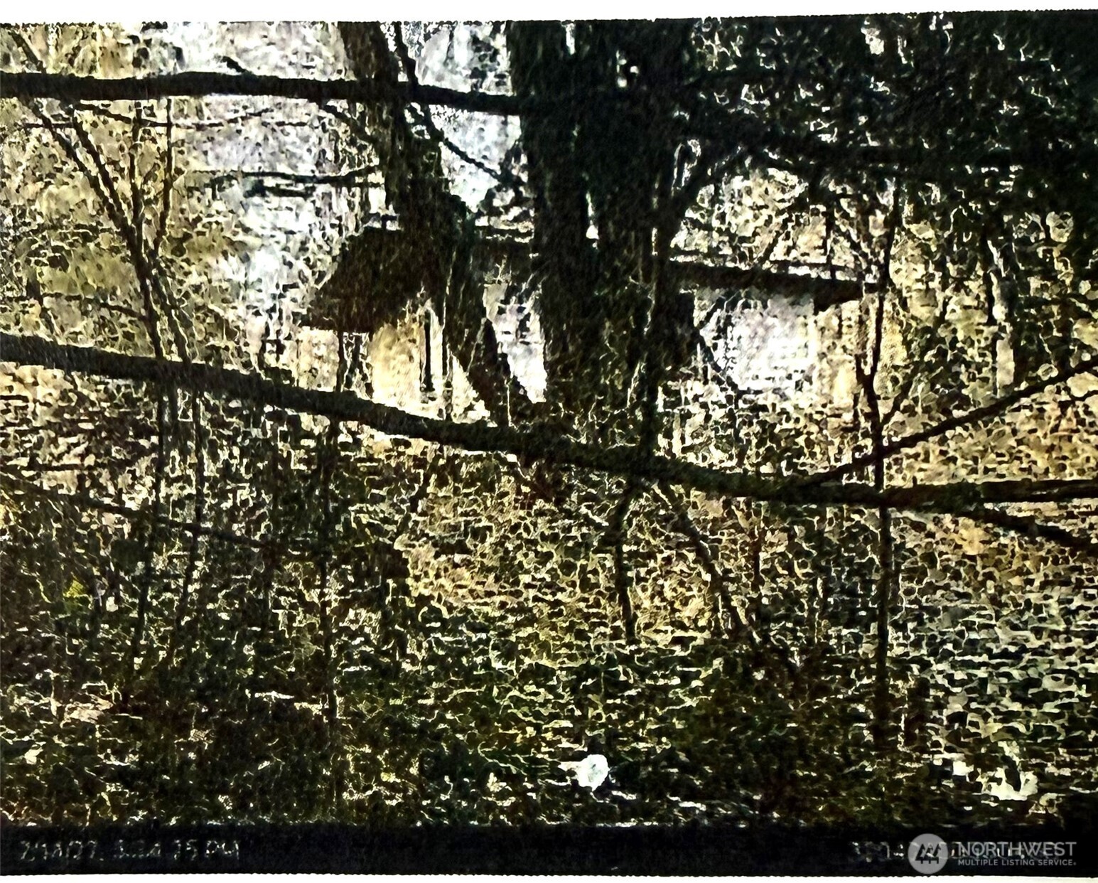 1011 SR-532 , Stanwood, WA 98223 - Photo 1