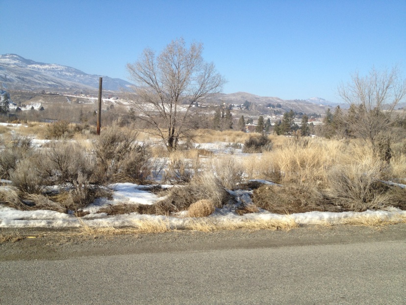 0 Apple Way Road , Okanogan, WA 98840 - Photo 8