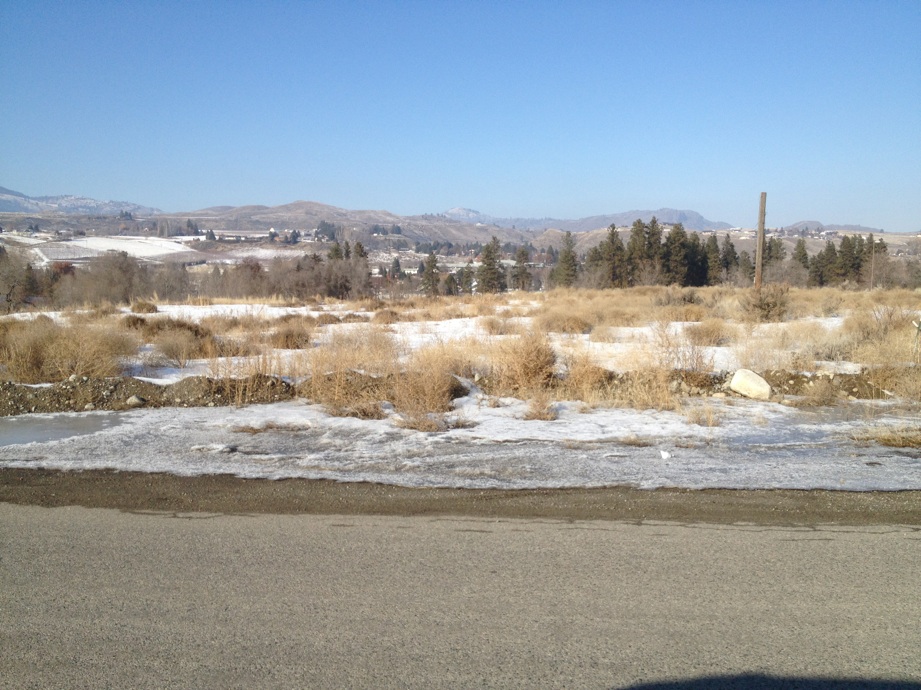 0 Apple Way Road , Okanogan, WA 98840 - Photo 7