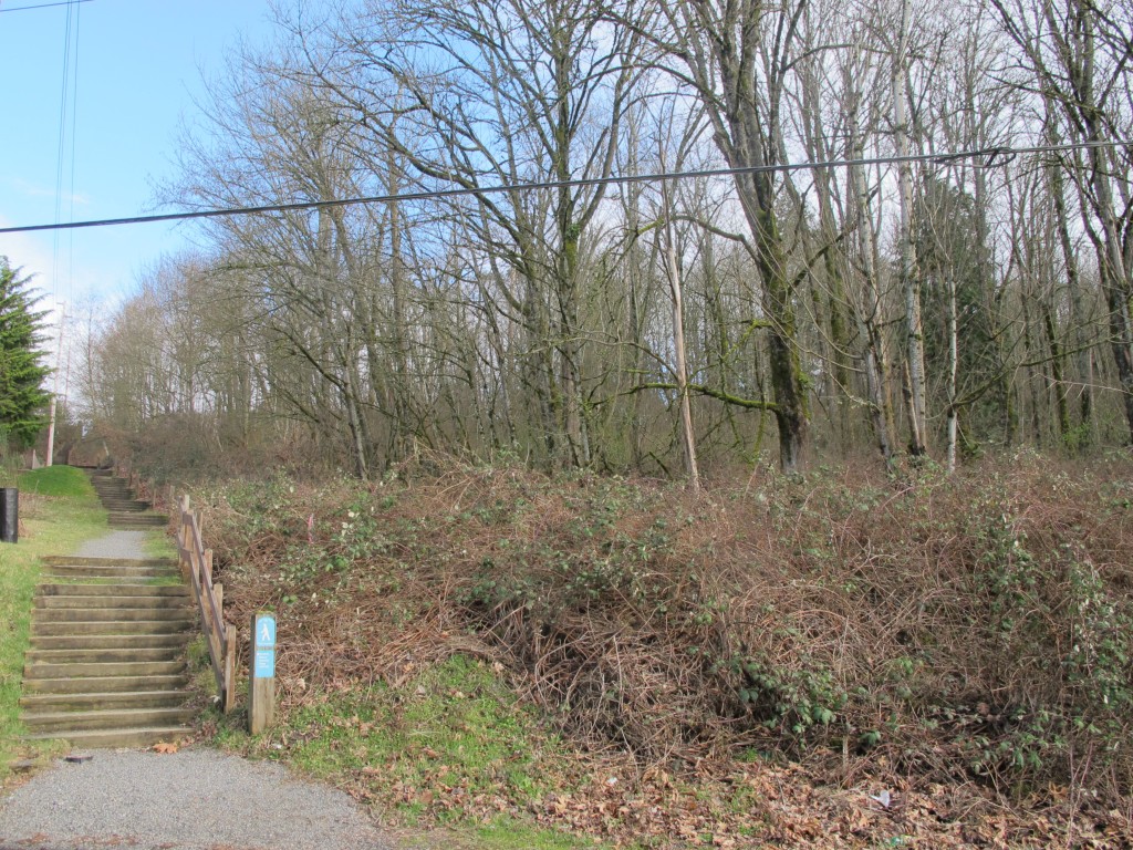 2457 Kamber Road , Bellevue, WA 98007 - Photo 10