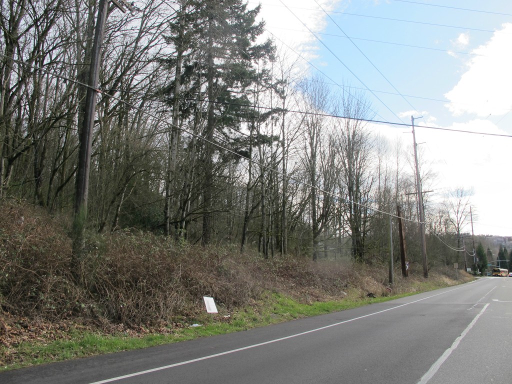 2457 Kamber Road , Bellevue, WA 98007 - Photo 11