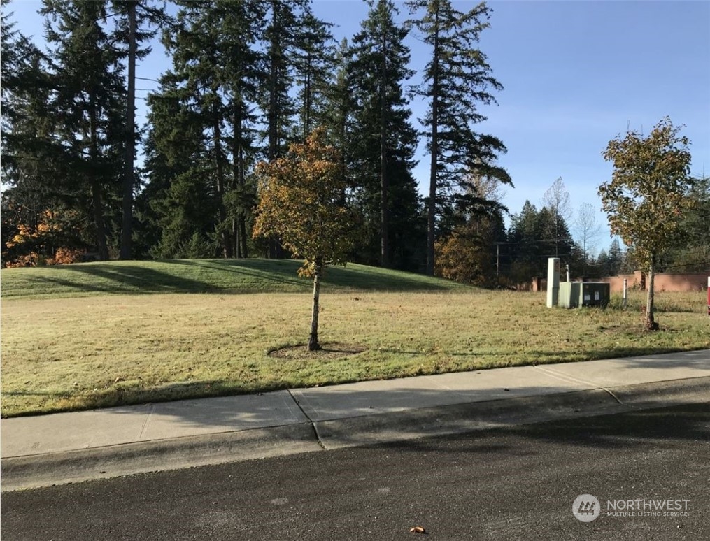 1827 176th Avenue E, Lake Tapps, WA 98391 - Photo 1