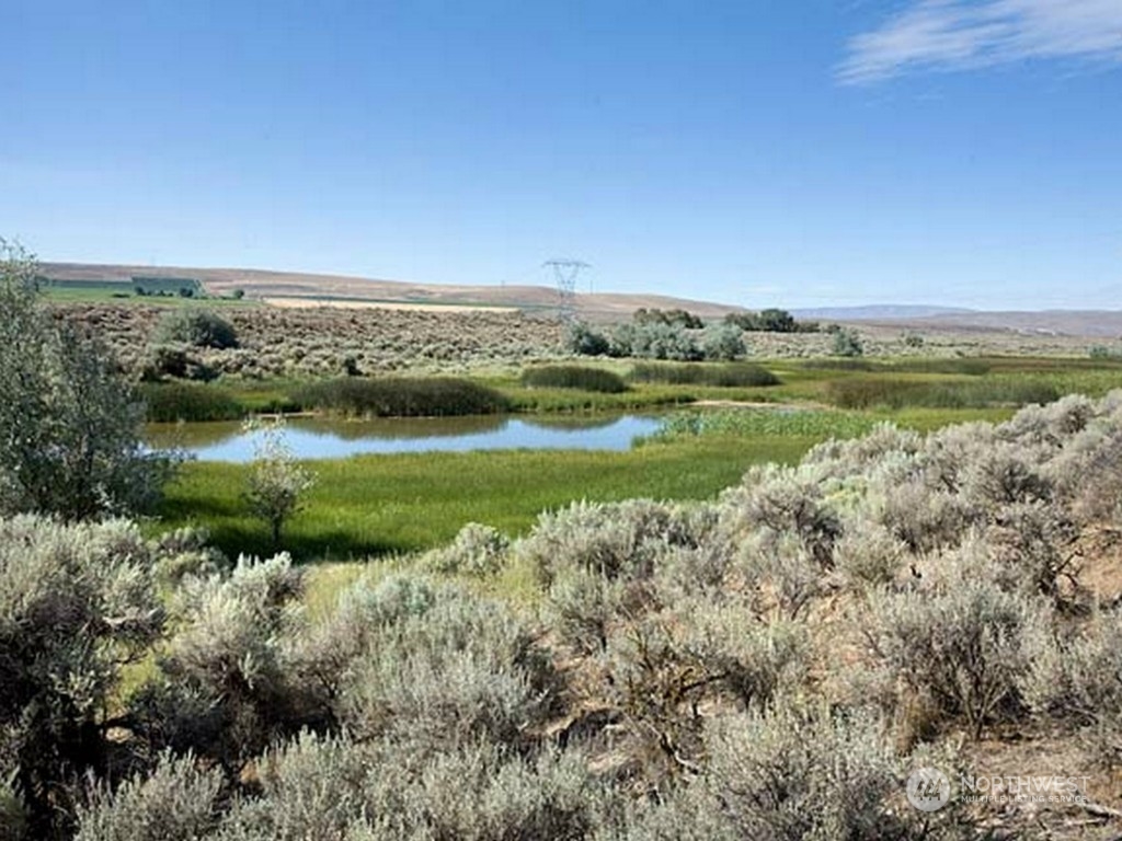 0 Silica Road , Quincy, WA 98848 - Photo 14