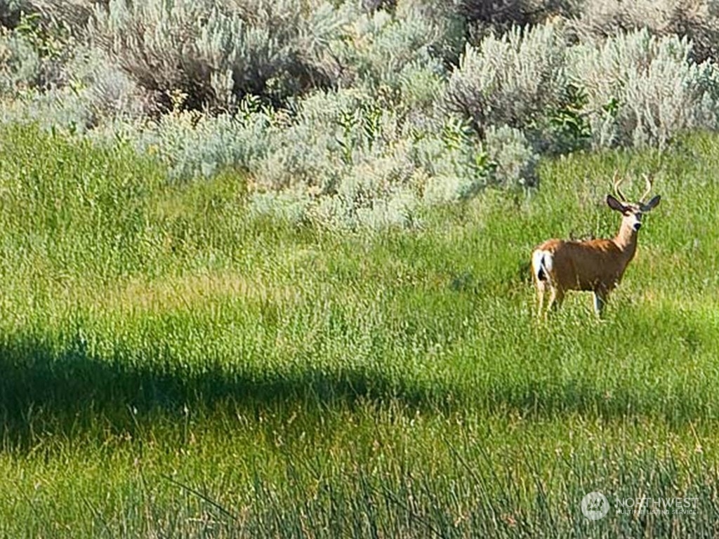 0 Silica Road , Quincy, WA 98848 - Photo 24